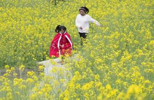 Jingning: Magnificent Mountain Flower Sea Unfolds as Rural Tourism Gradually Revives
