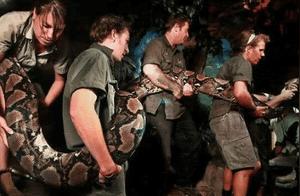 What is the Longest Living Animal in the World Today? How Long Can Snakes Grow?