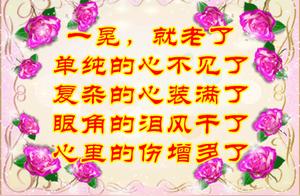 Friend, Please Listen to My Advice: Life is Short, You'll Soon Be Old