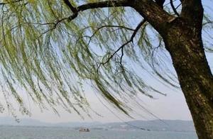‘Yin’ for You, Tour West Lake