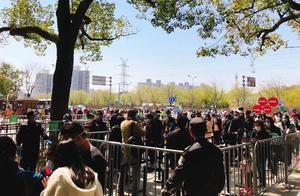 Tourist Volume Reaches 24,500, Shaping Forest Park's Stable and Orderly Response to Weekend Crowds