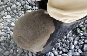 Little Penguin Likes to Waddle into the Zookeeper's Legs, Initially Proud, but Couldn't Laugh After a Year