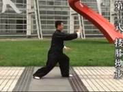 Scientific Fitness | Martial Arts Coach Teaches You Eight Forms of Taijiquan