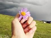 Harming others is harming oneself; benefiting others is benefiting oneself