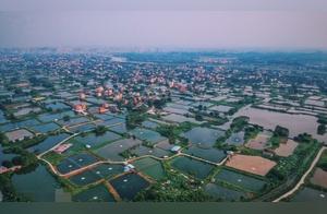 Jiangmen Ancient Water Town: A Palette of Colors