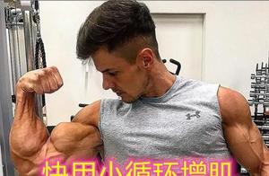 Don't Follow Those Fitness Experts! Small Cycles for Muscle Gain, to Prevent Muscle Growth and Fat Accumulation