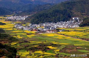 Jiangxi: Wuyuan Rural Rapeseed Flower Spring Scenery Like a Painting