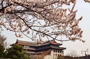 Shanhaiguang Ancient City: A Landscape of Spring