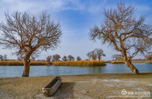 The Tarim River flows through here, with vast groves of ancient Hulin trees and the mysterious Robat people.