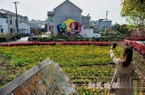 The Time is Right for Qingming Excursions; Enchanting Countryside and Fields