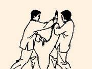 Mastering Quick Leg-Breaking Palm Techniques: Four Dragons Retrieving Water, Palm Strike and Elbow Follow-Up for Fast Attacks