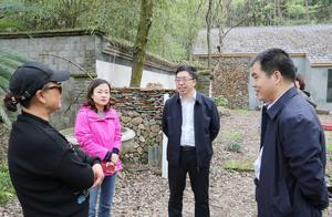 Chen Fengqi: Develop Tourism Zones Through Group Development to Accelerate ‘Lanxi’s Cultural and Tourism Revitalization’