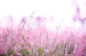 Be Kind to Yourself, Starting with Not Getting Angry