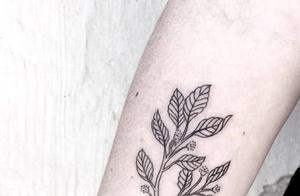 Psychological Class: Which Tattoo Do You Think Is More Attractive? Test to See If You Will Be Confessed To Recently