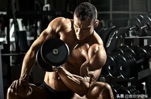Home Dumbbell Training Plan: 7 Dumbbell Exercises to Work Out Your Entire Body - Start Training Now!