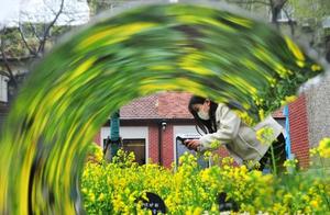 Old European Manor Appetizers – Yellow Blossoms on Yuyuan Road