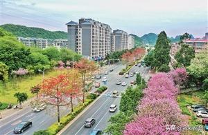Vibrant Spring Colors Intertwined