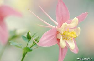Life is Fragile, Be Mindful in All Things