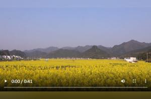 Spring in Copper City: Journey with to Admire Cloud Flowers