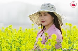 Canola Flowers in Bloom Covering the Ground