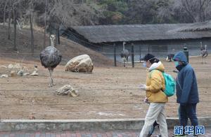 Shenyang Forest Animal Park Opens for Business