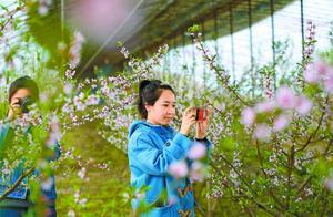 Honghu County: 60 Million Yuan Supports All-Inclusive Tourism
