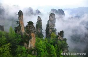 Mysterious ‘Guardian Beast’ of Zhangjiajie: Lived for Over 200 Years with More Than 20,000 Descendants