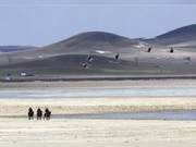 Patrol and Inspection of Migratory Bird Protection