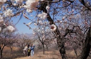 Niequ: Spring Blooms, Let's 'Cloud-Watch' Flowers Together