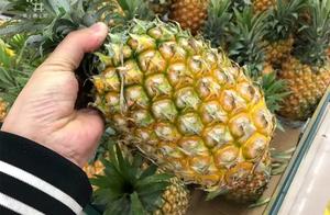 When Buying Pineapple, Smart People Turn Away From These 3 Types - The Boss Won't Even Throw Them Away