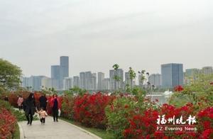 Fuzhou: Ordered Tours and Civilized Flower Viewing