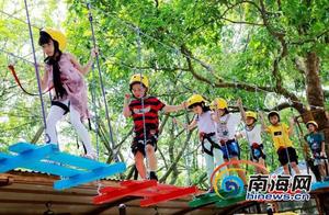Spring Travel Season: Haikou Scenic Area Launches 50% Off Ticket Discounts