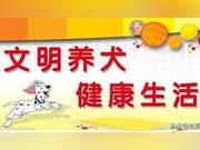 Attention Dog Owners! White City Dog Management Regulations Released, Dog Ownership Not Permitted to Be Random