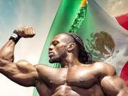 4 Shoulder Strengthening Exercises to Prevent Shoulder Injuries and Enhance Training Efficiency!
