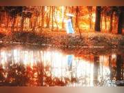 Appreciation of Modern Poetry "Back Figure" and Pursuing Beautiful Youthful Memories