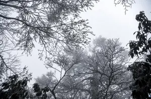 Zhangjiajie: Rain and Cooling Bring Spring Frost and Mist Beauty at Tianmen Mountain Scenic Area, Resembling a Fairytale World
