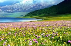 Why Visit Xinjiang in the Summer?