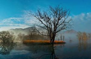 Enjoy the Scenery | Come to Hubei to Experience the Splendor of the Jingchu Region