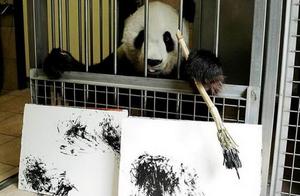 11 Heartbreaking Images of Wild Animals: The Result of Human Actions