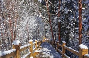 Blooming in Chengdu: Peaceful Sichuan