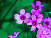Treat others modestly; live with less self-importance.