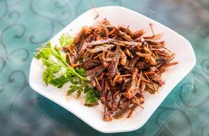 Locusts Approaching Rapidly, Prepare, Guests! Sharing Locust Recipes and Methods