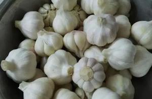 Pickled Sweet and Sour Garlic: It's Not Just Sugar and Vinegar? A Big Mistake!