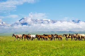One of the Must-Visit Places in Xinjiang: The Most Beautiful Drive and Cycling Route is the Duku Highway