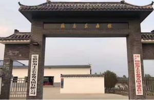 Spring Outing in Jianghu - Come Visit! Chuzhou's Ecological Park, Strawberry Picking!