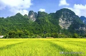 Guilin-like Hidden Gem in Guangxi: Chongzhou (Mingshi) – A Sanctuary of Beautiful Scenery