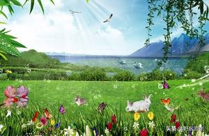 Original Essay/Rhapsody: "Dream of Sniffing the Fresh Fragrance of Nature"