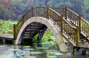 When You Get Old, Which Bridge Will You Walk With Your Elderly Spouse? Test Your Senior Life