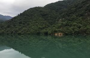 Guilin Landscapes Hidden in Guangzhou: A Lesser-Known Forest Park That Looks Like a Landscape Painting