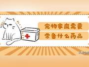 A Picture Shows What Medications to Prepare in a Pet Family's Small Medicine Box?